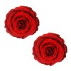 Freaking Awesome Roses Are Red Glitter Velvet Nipztix, Red, Size One Size